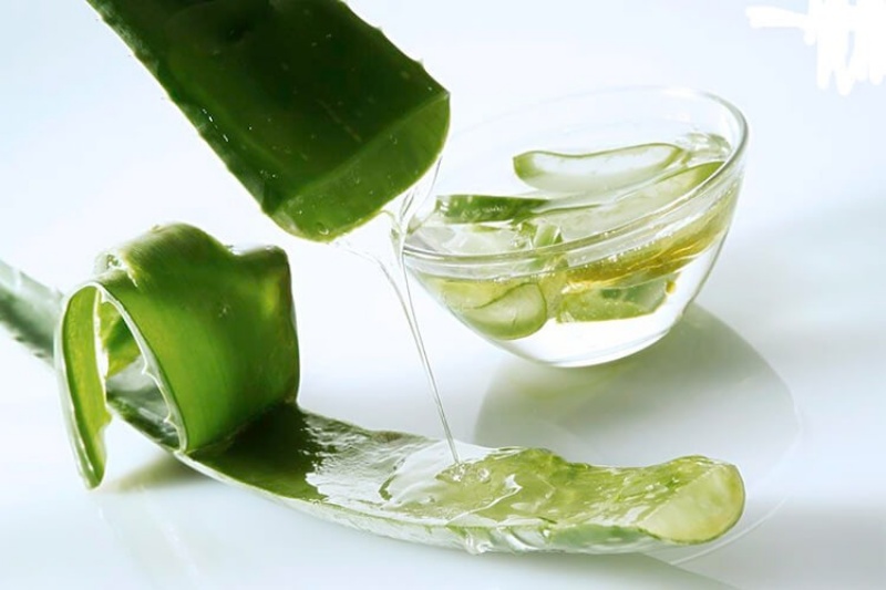 Các bạn có thể dùng gel nha đam để cấp ẩm, làm dịu da
