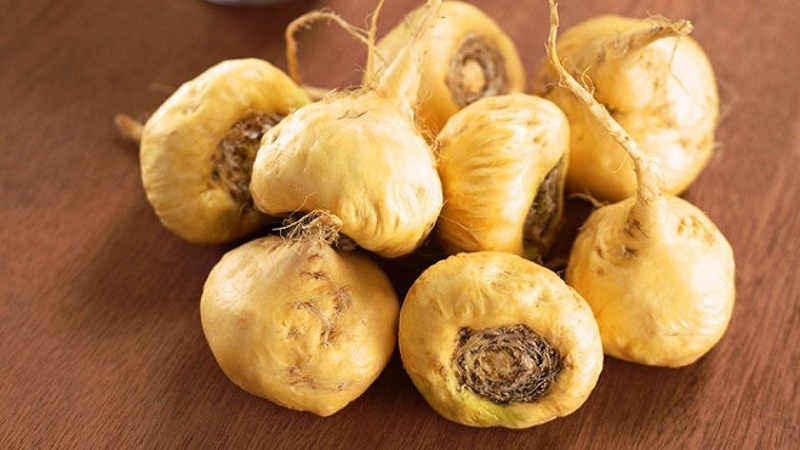 Củ maca Peru ngâm rượu được nhiều nam giới yêu thích