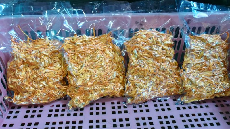 Đông trùng hạ thảo hút chân không