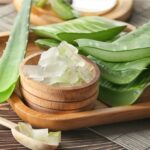 Nha đam hay còn có các tên gọi khác là lô hội, long tu…