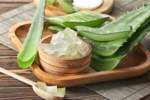 Nha đam hay còn có các tên gọi khác là lô hội, long tu…