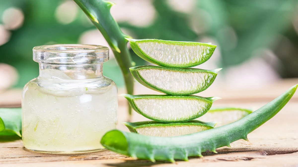 Nha đam kết hợp cùng nước vo gạo