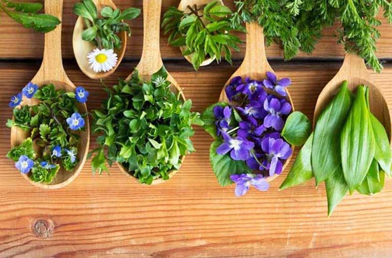 Nhiều nguyên liệu thiên nhiên giúp cải thiện nhiệt miệng chảy máu chân răng ở trẻ nhỏ