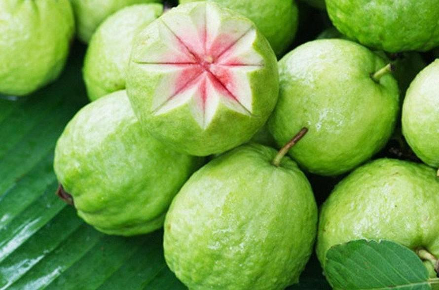 Ổi là loại quả rất giàu vitamin C