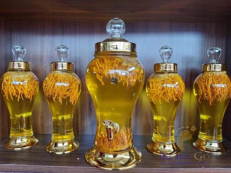 Rượu đông trùng hạ thảo là thức uống được cánh mày râu yêu thích