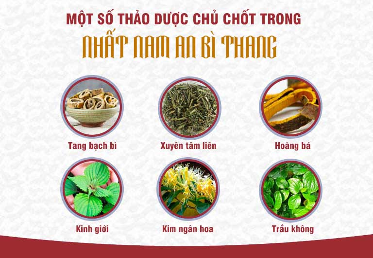 Thành phần trong Nhất Nam An Bì Thang đảm bảo chất lượng và an toàn cho sức khỏe