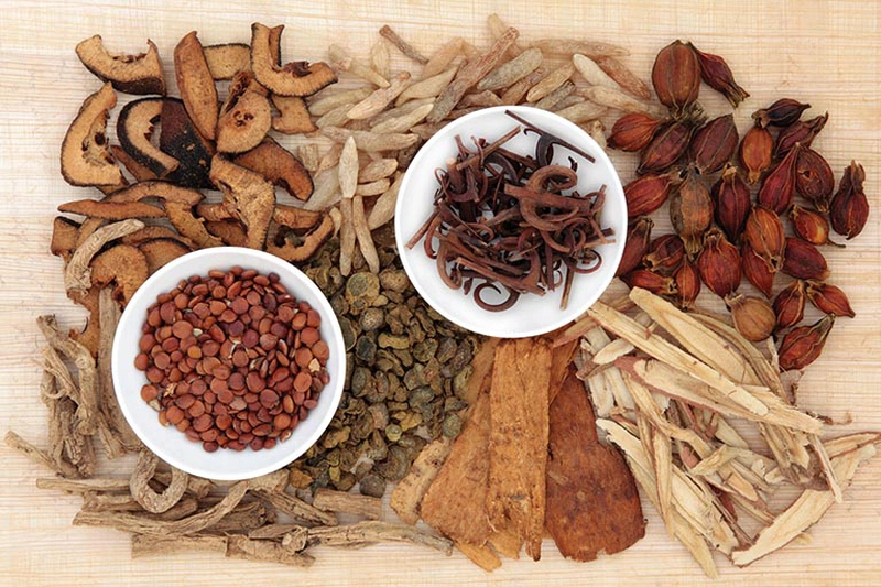 Thuốc Đông y giúp chữa trị tình trạng ngứa da vào ban đêm