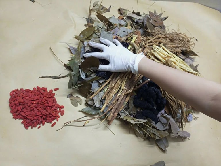 Nguyên liệu trong bài thuốc Xương khớp Đỗ Minh